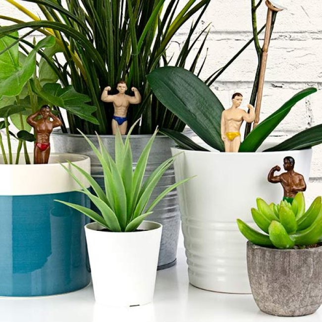 Décoration pour Plante en Pot Hommes Musclés
