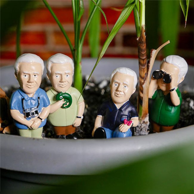 Décoration pour plantes en pot explorateurs