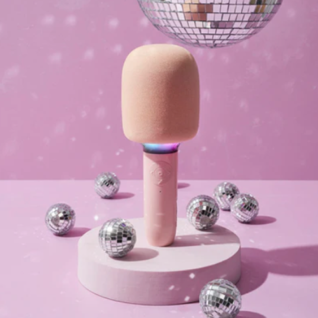 Micro Karaoke Je Chante Comme Celine - La Chaise Longue