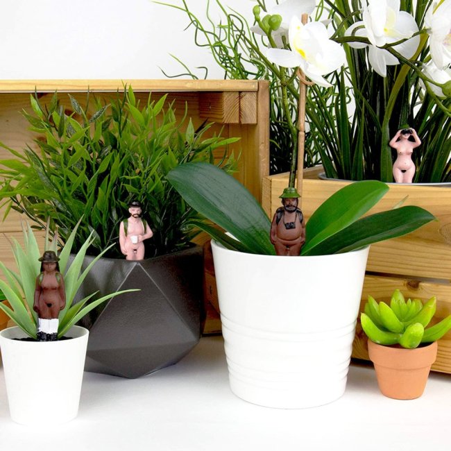 Randonneurs naturistes pour plantes