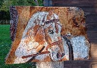 Cheval Sur Bois