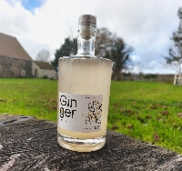 GINGER - Liqueur De Gingembre Et Citron - 17%Vol 50Cl