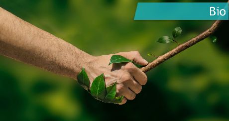 Bio