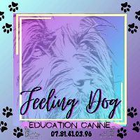 Logo du magasin Feeling dog